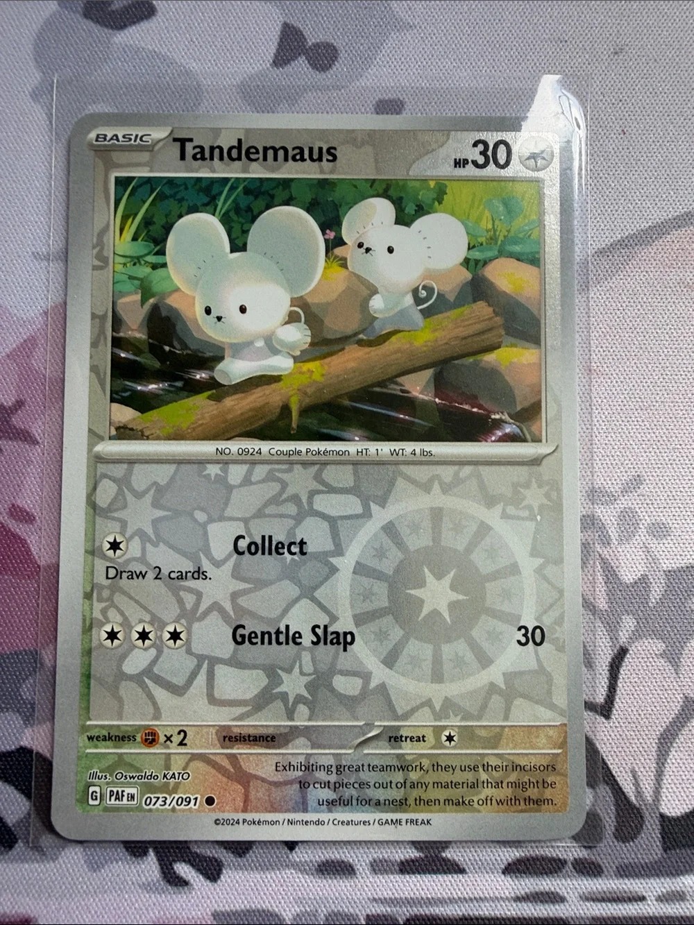 Tandemaus & Maushold Pokémon Evolution Lot 🐭 Reverse Holo | 5 Cards ✨5/$25✨